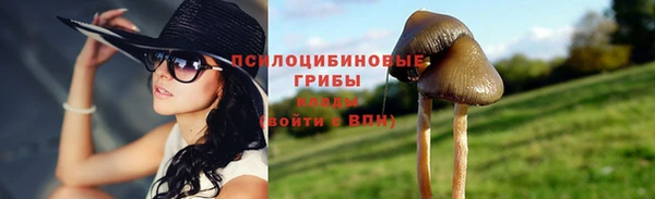 мет Бородино