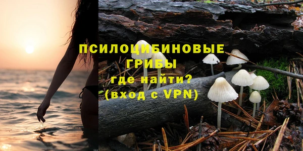 мет Бородино