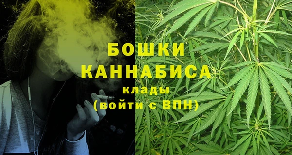 мет Бородино