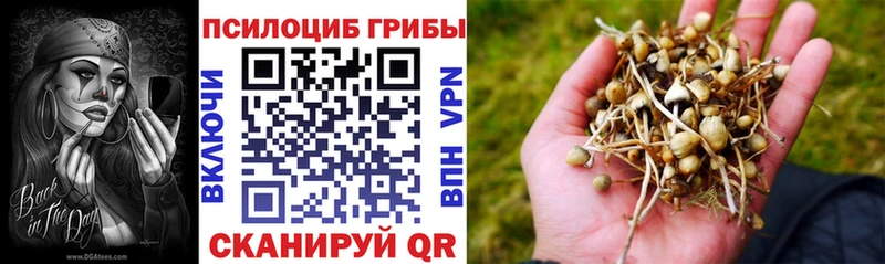 Купить  Краснотурьинск  Галлюциногенные грибы MAGIC MUSHROOMS 